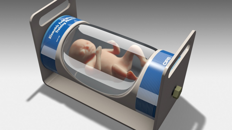 FetalUltrasoundBiometricsPhantom.jpg 68