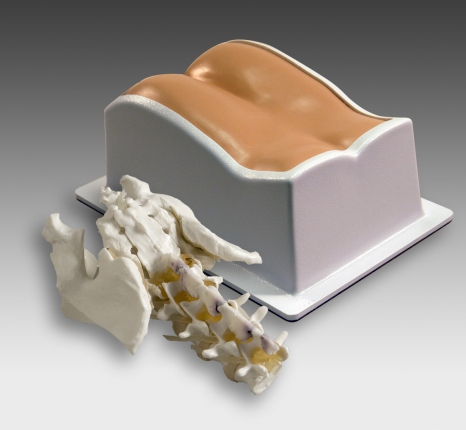 LumbarTrainingPhantom.jpg 34